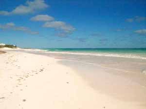 pink sand beach of Harbour Island Bahamas